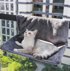 Luxurious Cat Hammock